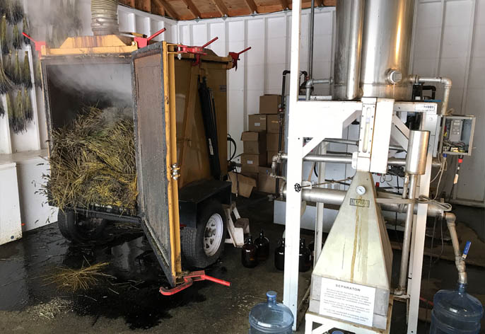 Inside Our Farm Essential Oil Distillery