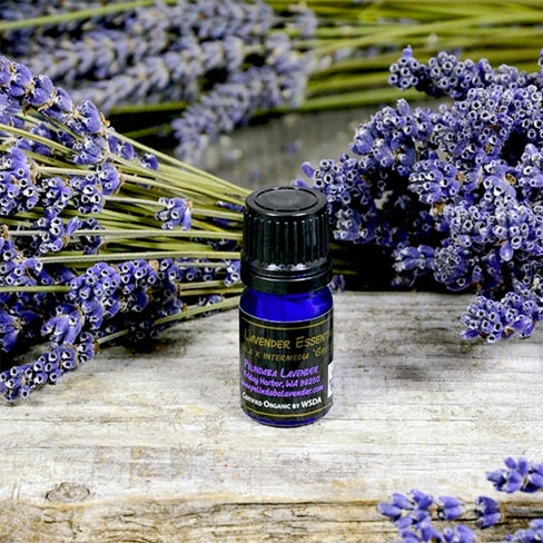 Organic Lavender Essential Oil 5ml dropper