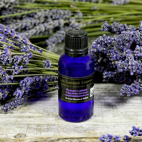 Organic Lavender Essential Oil 30ml dropper