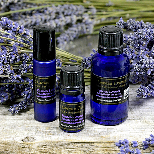 Lavender For Therapy