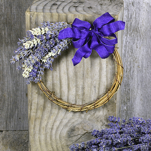 Lavender For Floral Decor