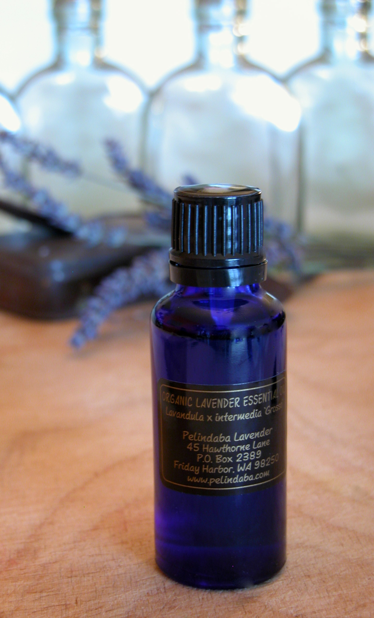 organic lavender essential oil