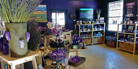 Pelindaba Lavender St Augustine Florida Store